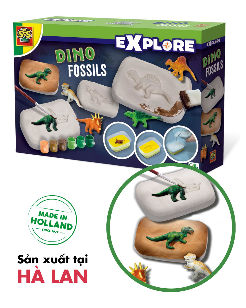 Dino fossils